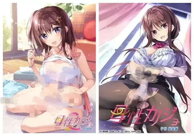 母性女友/母性カノジョ [1+2] PC+KRKR 汉化