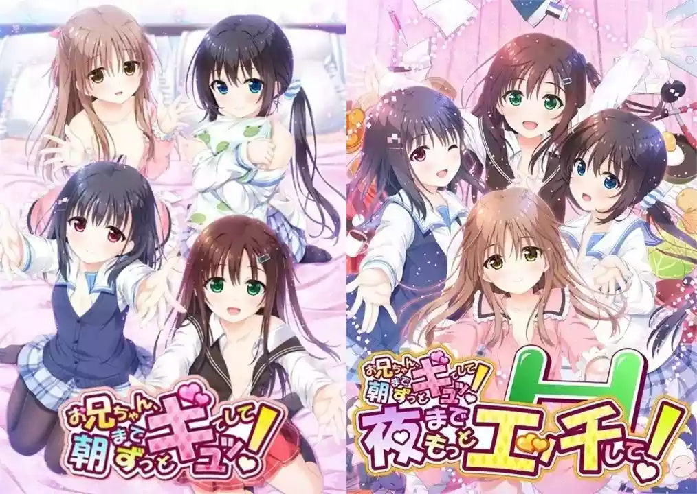 哥哥，早上起床之前都要抱紧我哦！/お兄ちゃん、朝までずっとギュッてして！[+FD] PC+KRKR 汉化