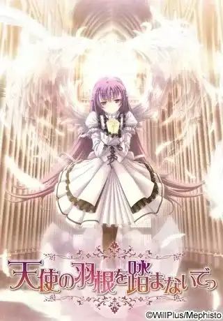 1 【PC】天使の羽根を踏まないでっ/不要践踏天使的羽毛