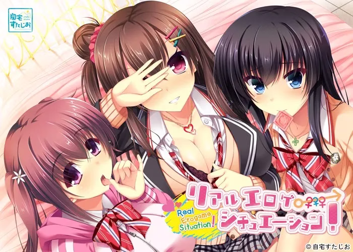 1 【PC】リアルエロゲシチュエーション!/真实黄油场景系列【123+DT】